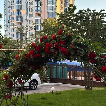 New! Luxury Apartment